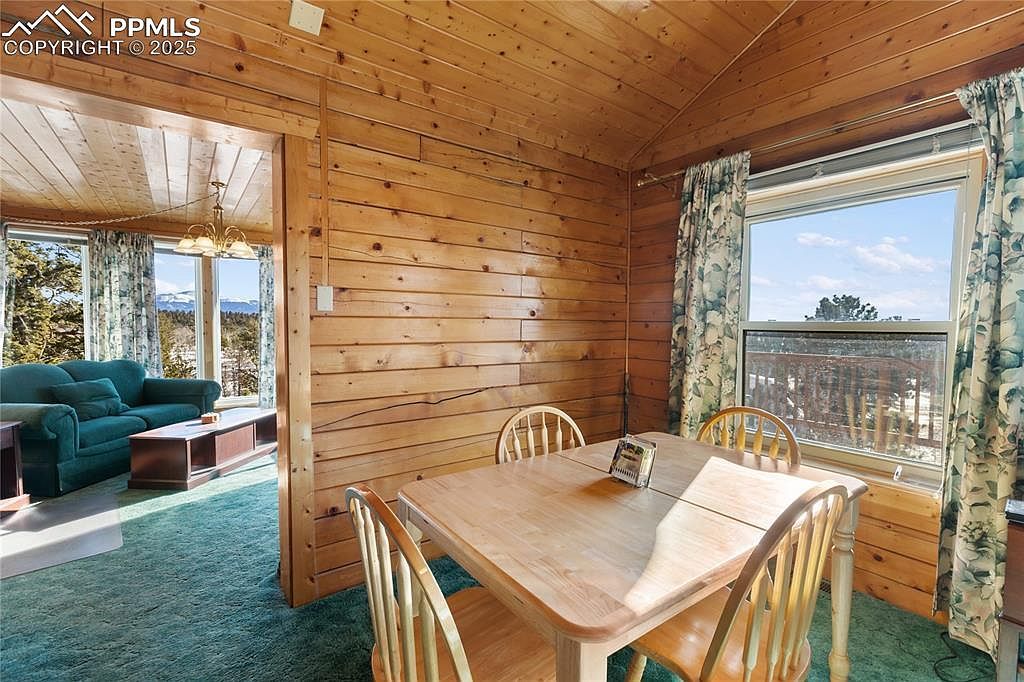 730 Cheyenne Creek Dr Lake George, CO 80827 | Single Family