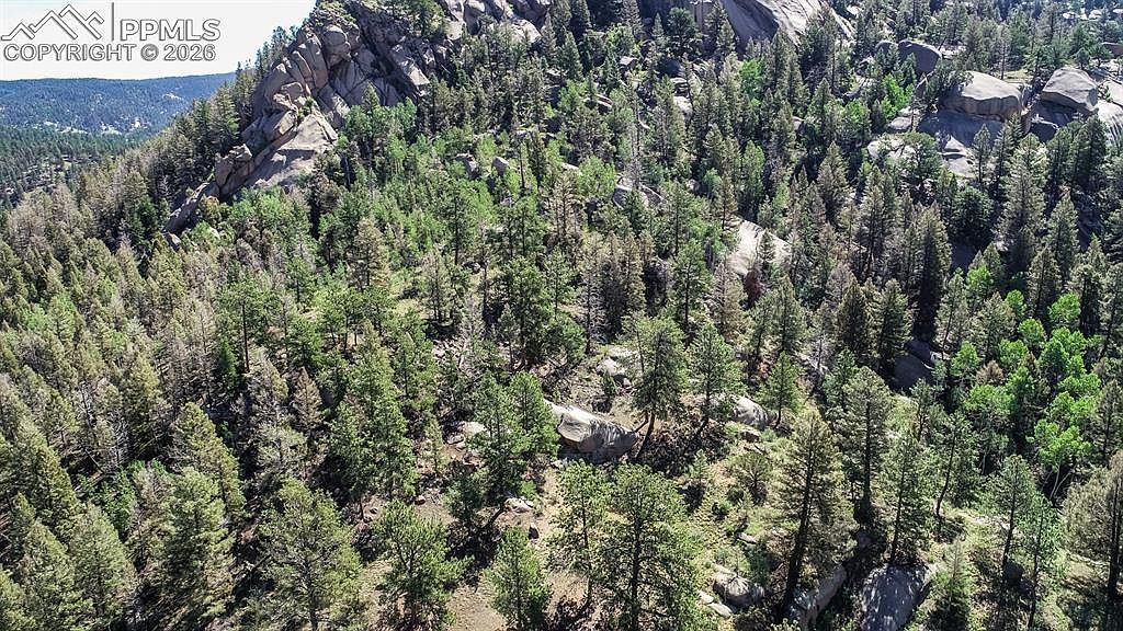 235 Hay Creek Rd Florissant, CO 80816 | Land/Lot