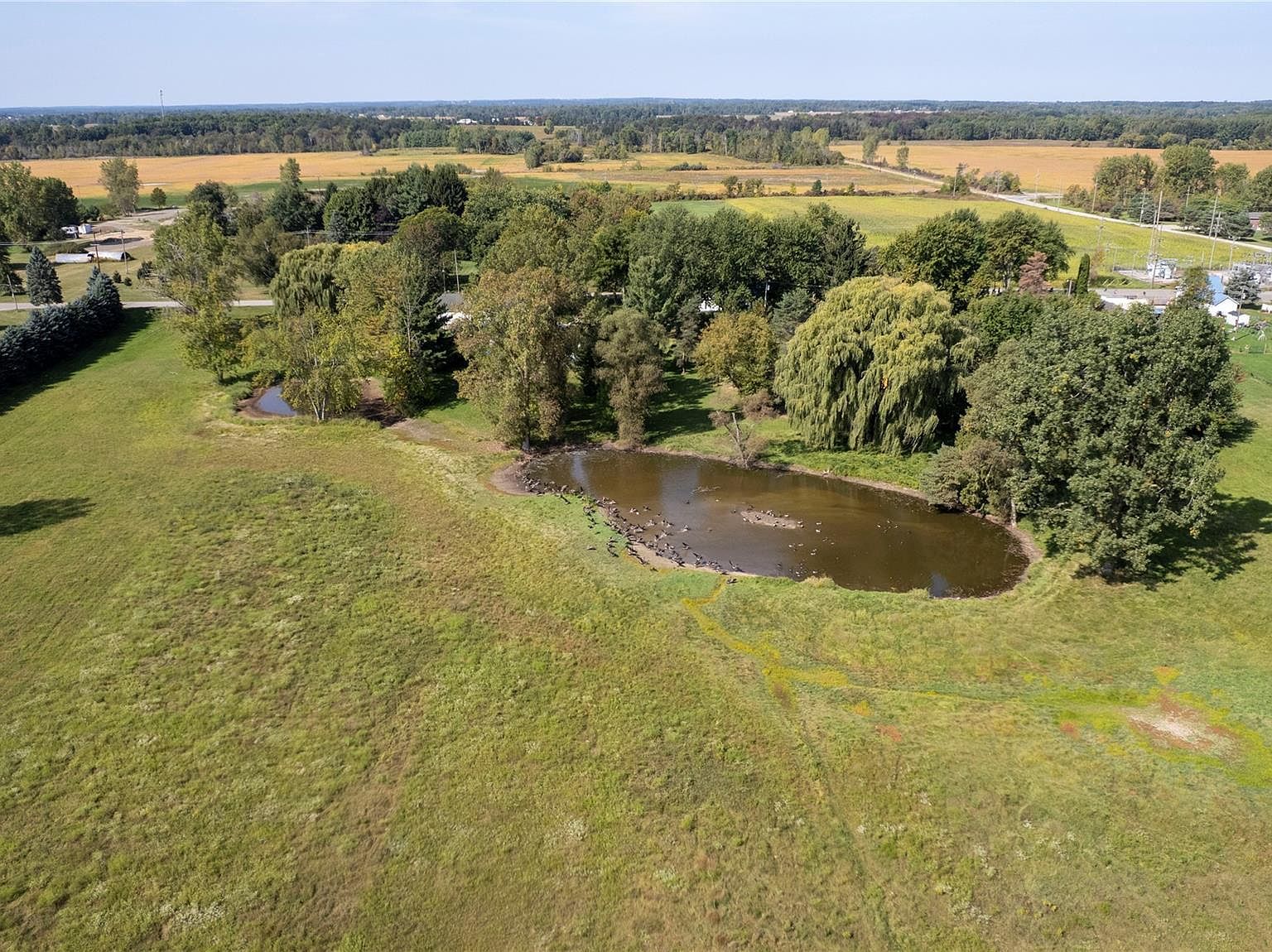 4634 Marlette Rd Clifford, MI 48727  | Land/Lot