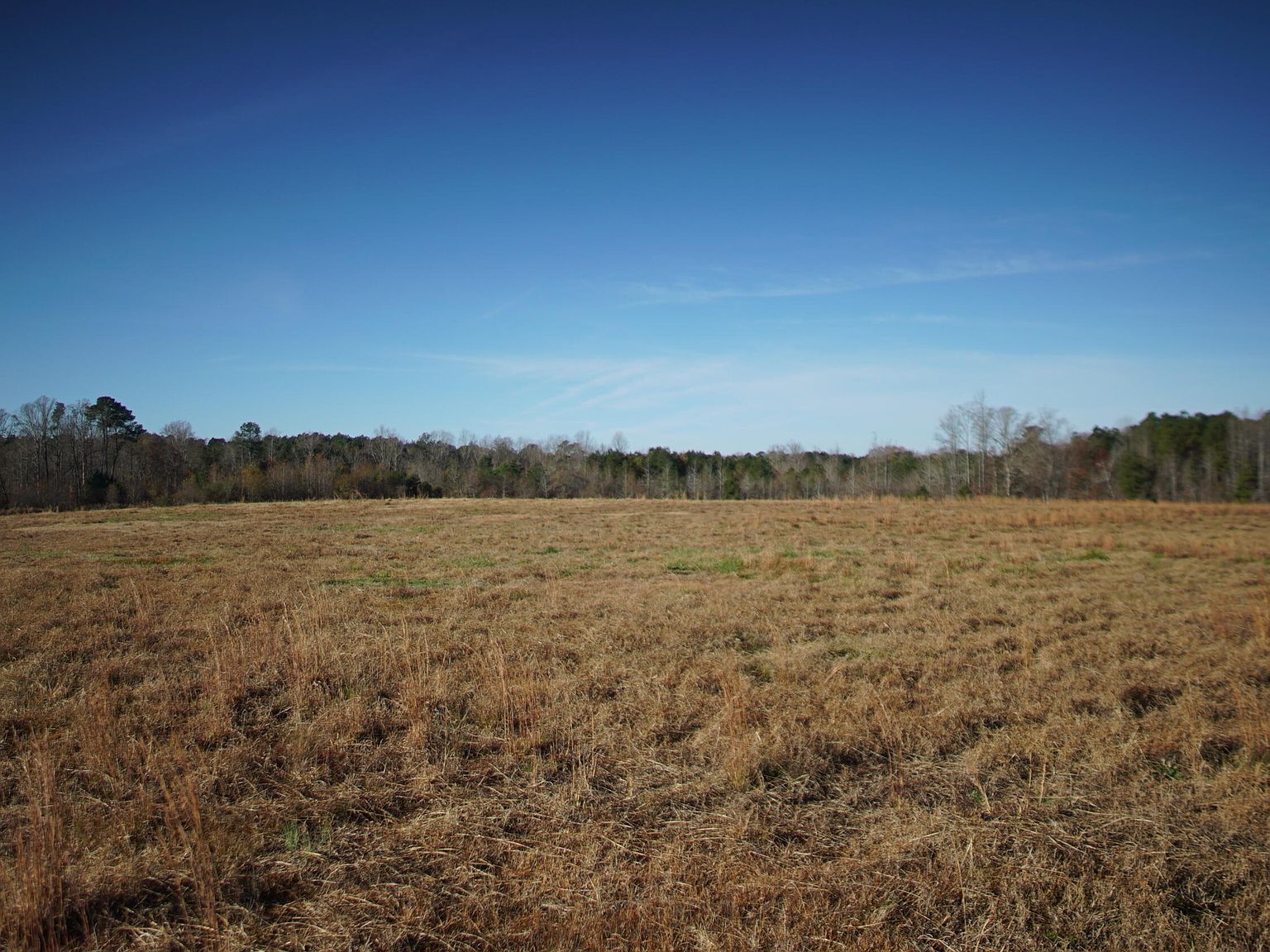 111 Old Wagon Ln LOT 2 Sanford, NC 27332 | Land/Lot