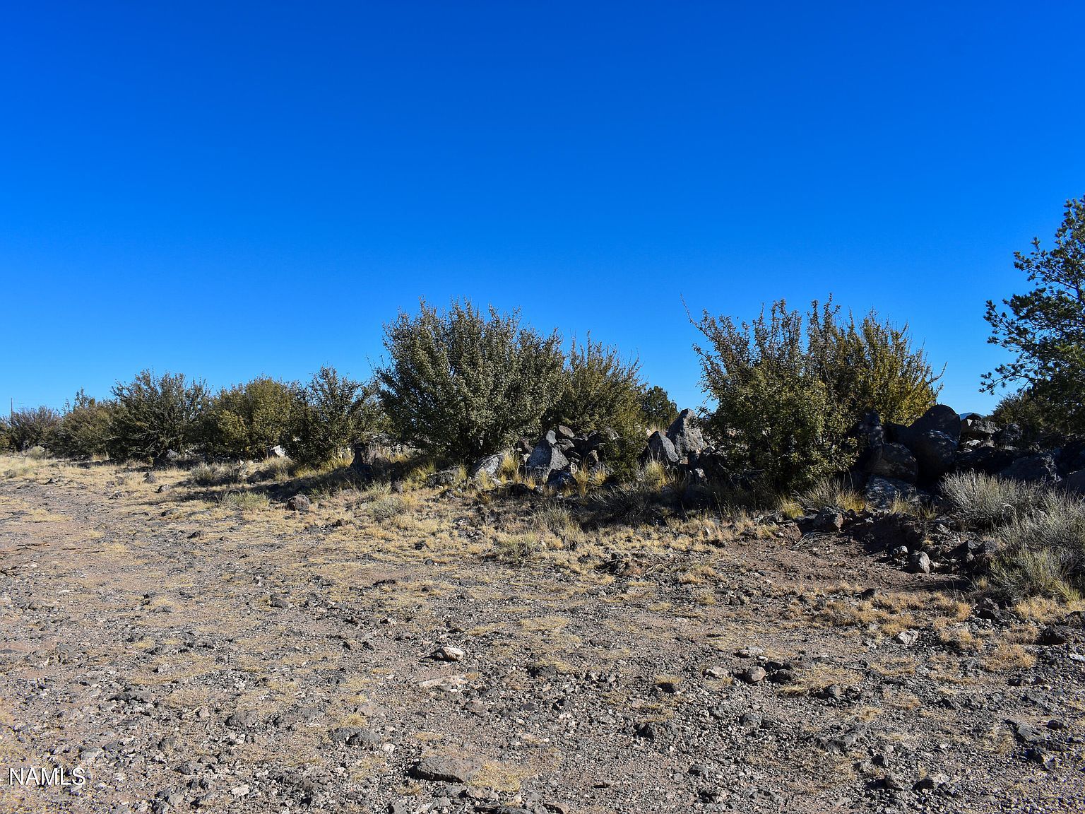 9230 S State Route 64 #251 Williams, AZ 86046 | Land/Lot