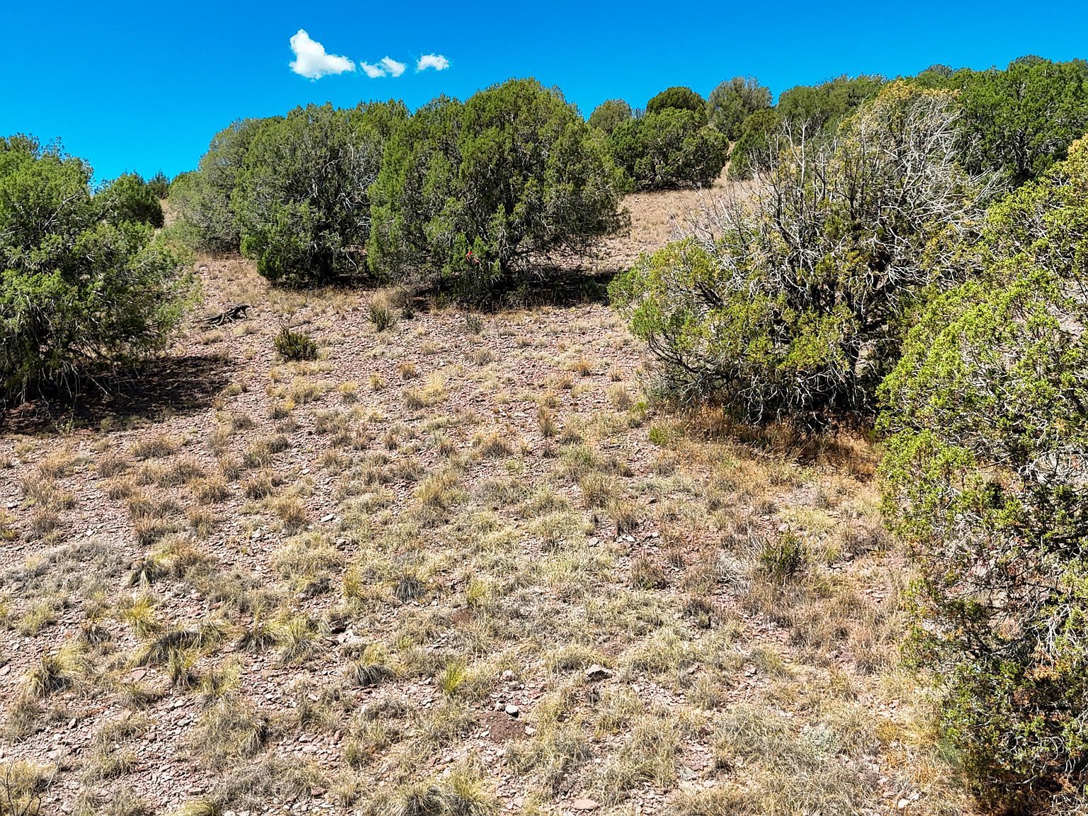 0 N Hilltop Trl LOT D2 Chino Valley, AZ 86323 | Land/Lot