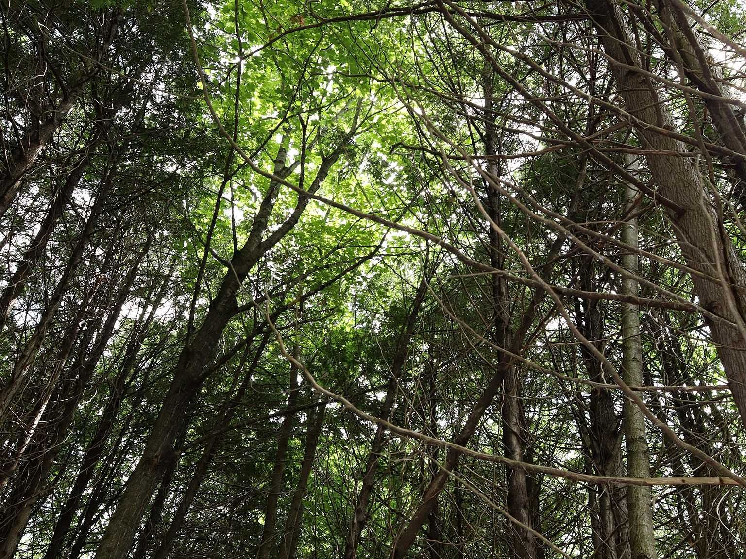 0 Richardson Rd Barre, VT 05641  | Land/Lot