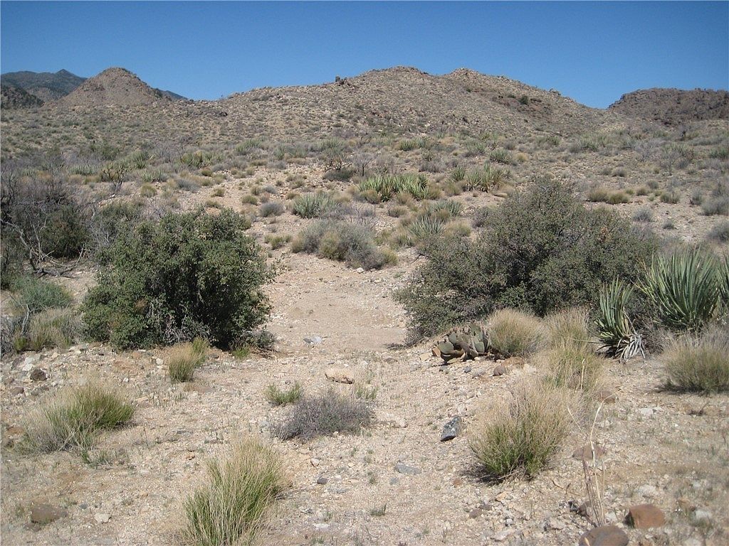 0 Red Wing Canyon Rd Kingman, AZ 86409  | Land/Lot