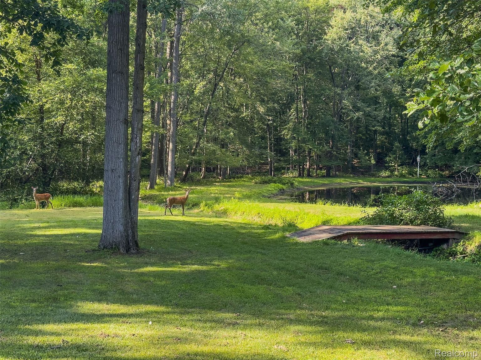 350 Casemer Rd Lake Orion, MI 48360 | Single Family