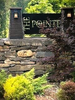 142C Sunfish Ln Hilham, TN 38568 | Land/Lot