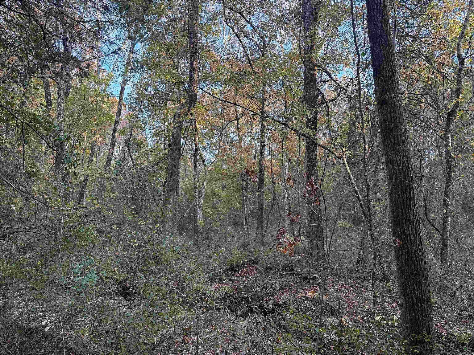 271 County Line Rd Rose Bud, AR 72137  | Land/Lot