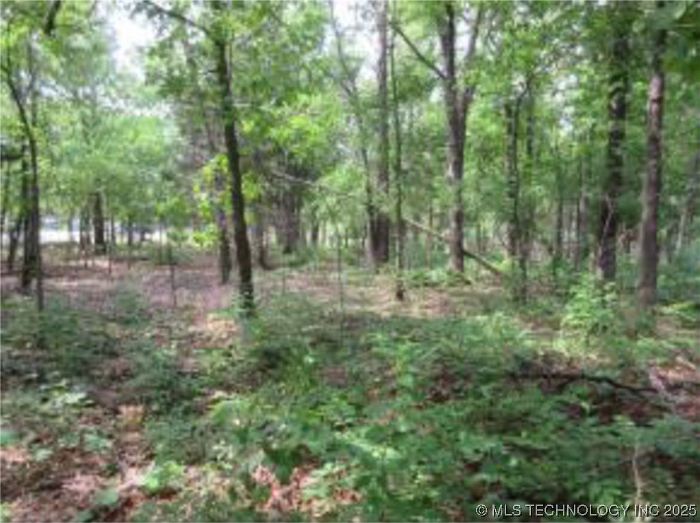 309 Bower Rd Eufaula, OK 74432  | Land/Lot