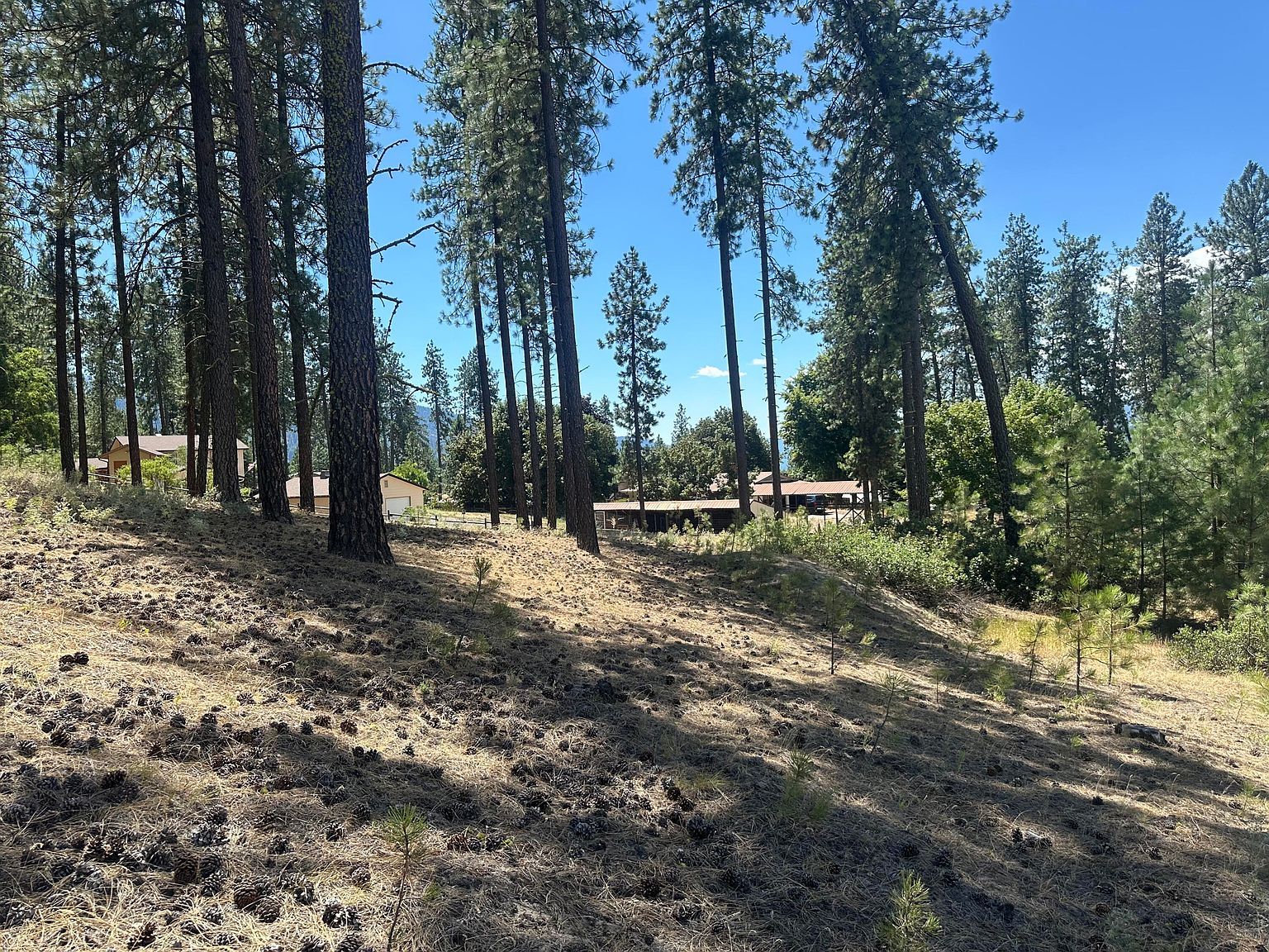 1363 Arthur Ct Kettle Falls, WA 99141  | Land/Lot