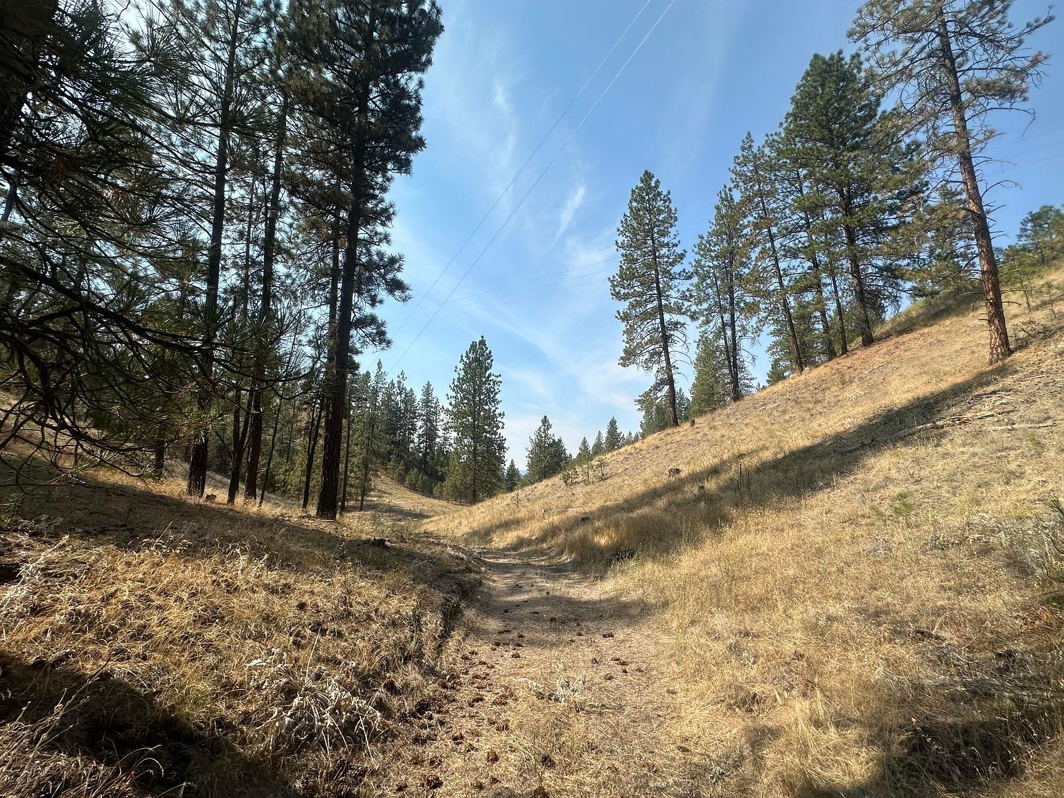 5699 Highway 231 Hwy #C Ford, WA 99013  | Land/Lot