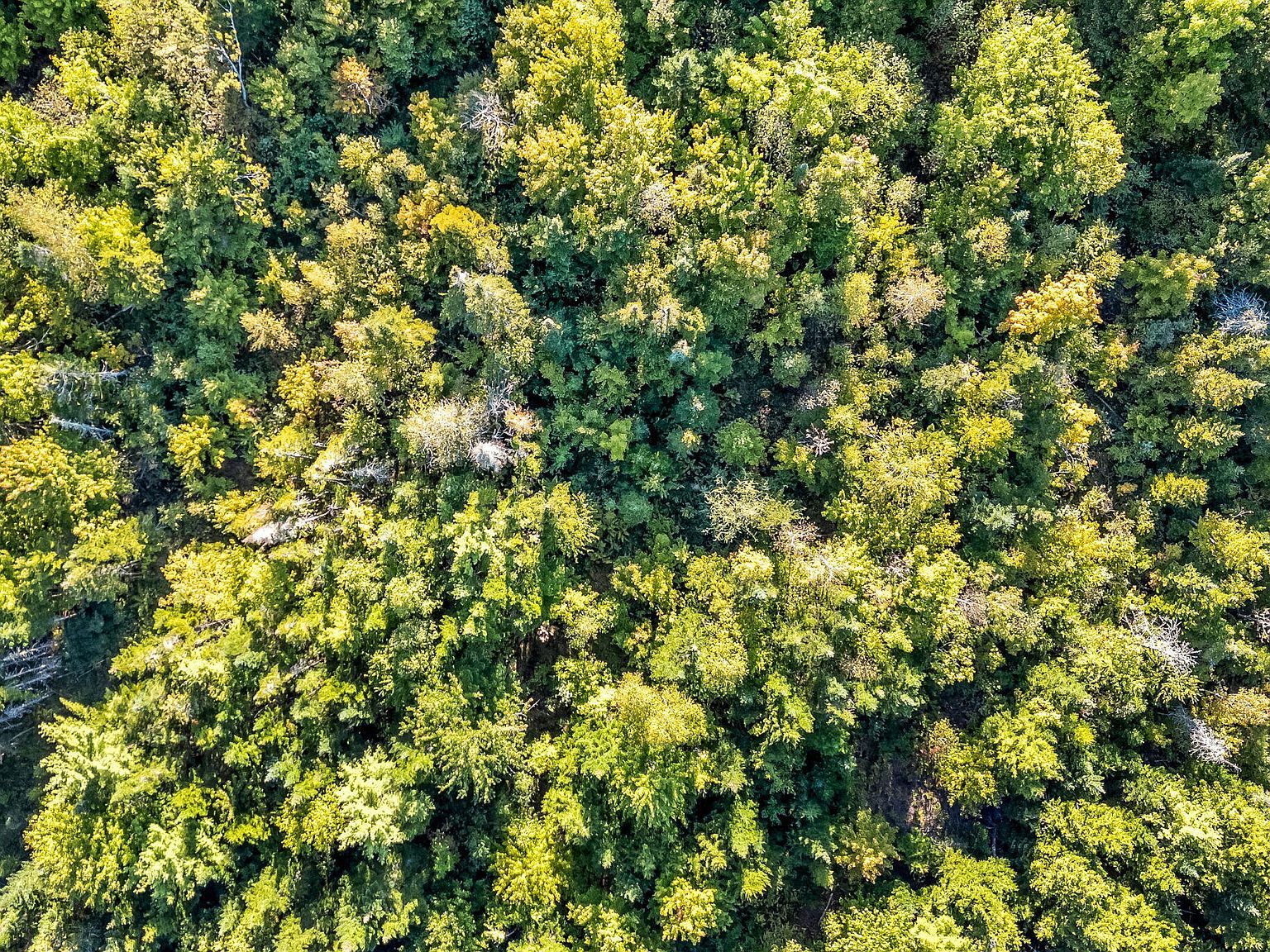 Map 3 Bradford Station Rd LOT 9 Old Town, ME 04468  | Land/Lot