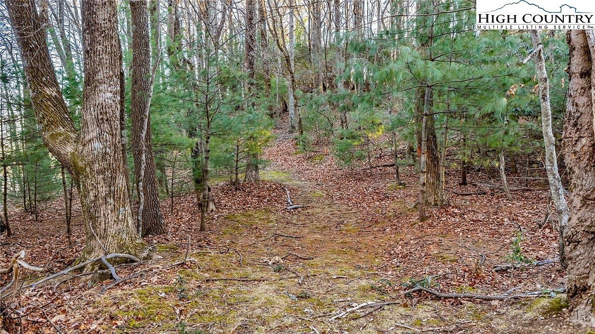 Tbd Lump Rd Purlear, NC 28665 | Land/Lot