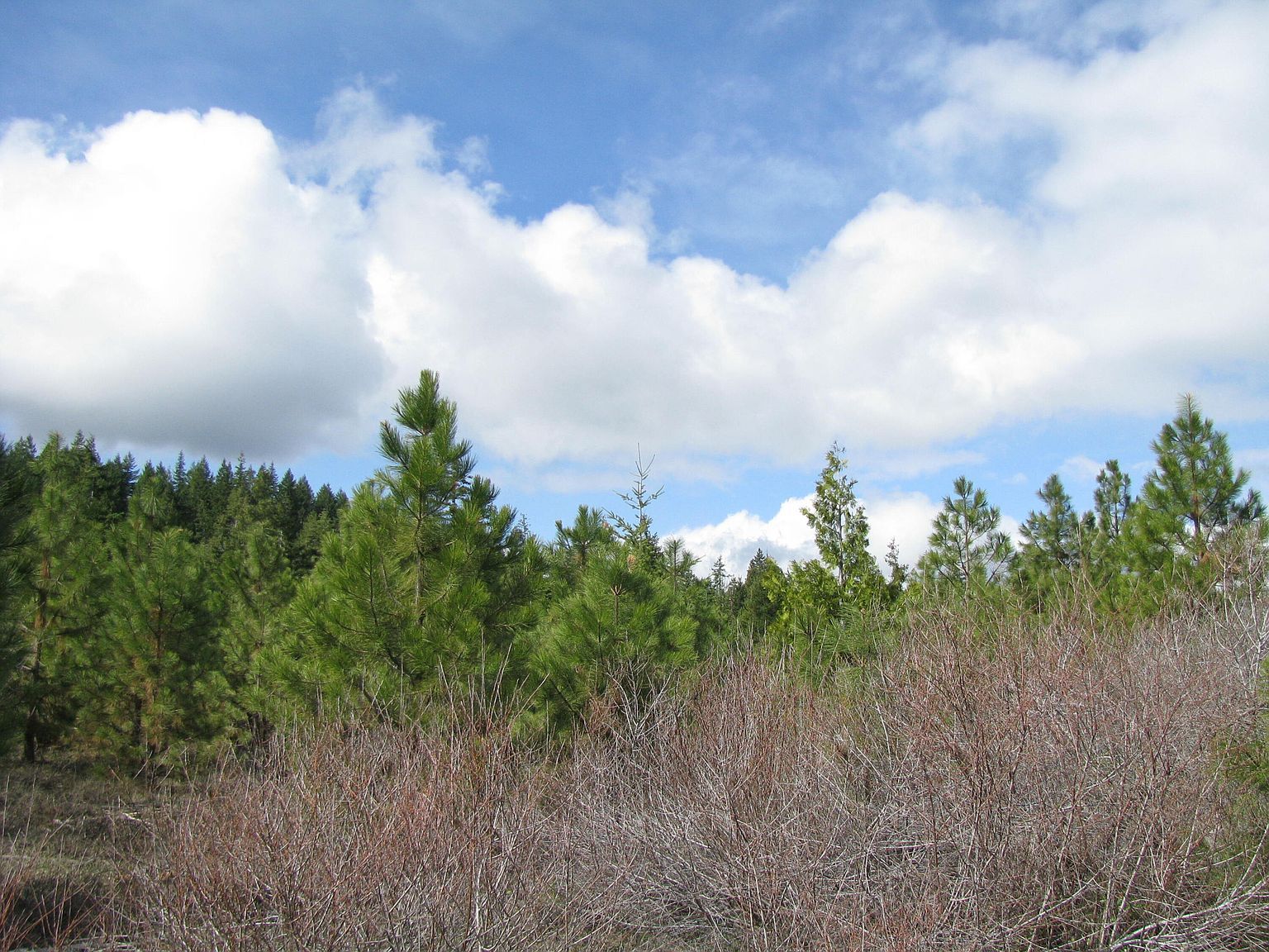 Greensprings Dr #2200 Klamath Falls, OR 97601  | Land/Lot