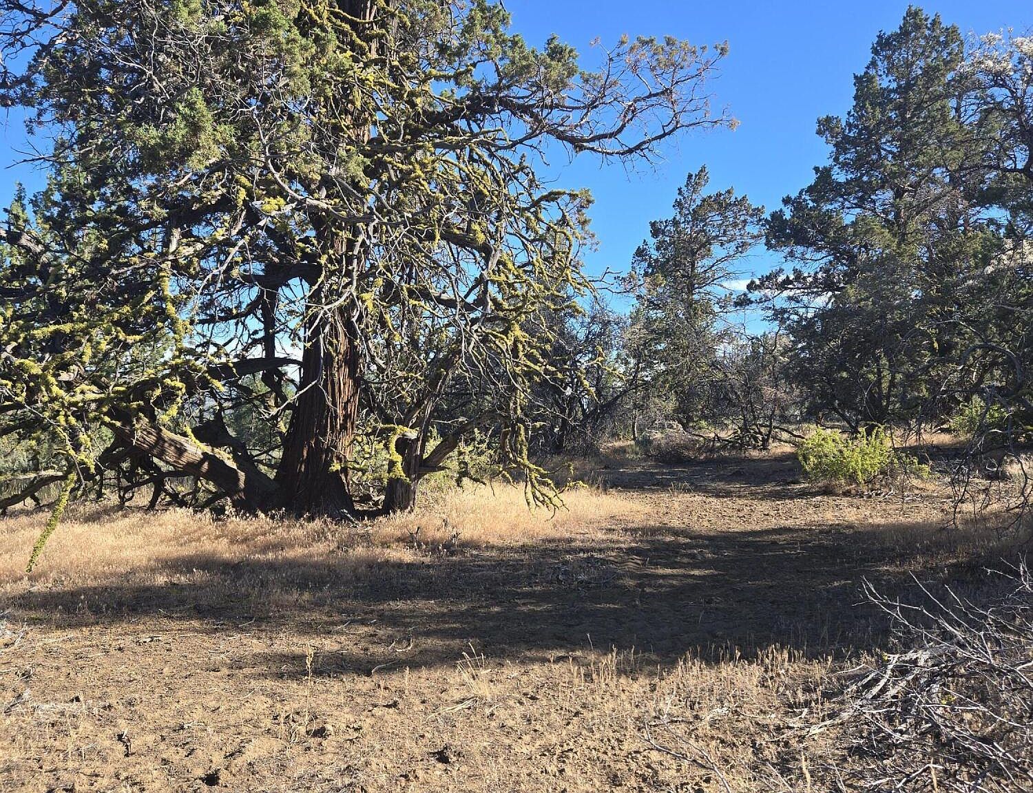 0 Sprague River Rd LOT 38, Sprague River, OR, 97639 | Land/Lot