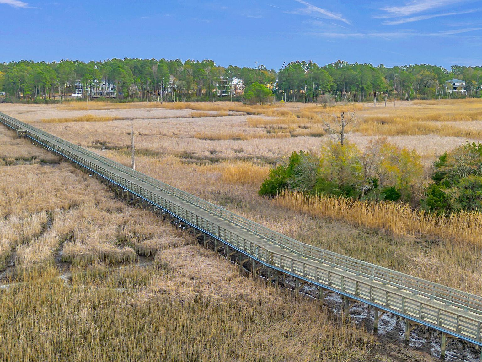 1543 Riverview Ter Wilmington, NC 28401  | Land/Lot