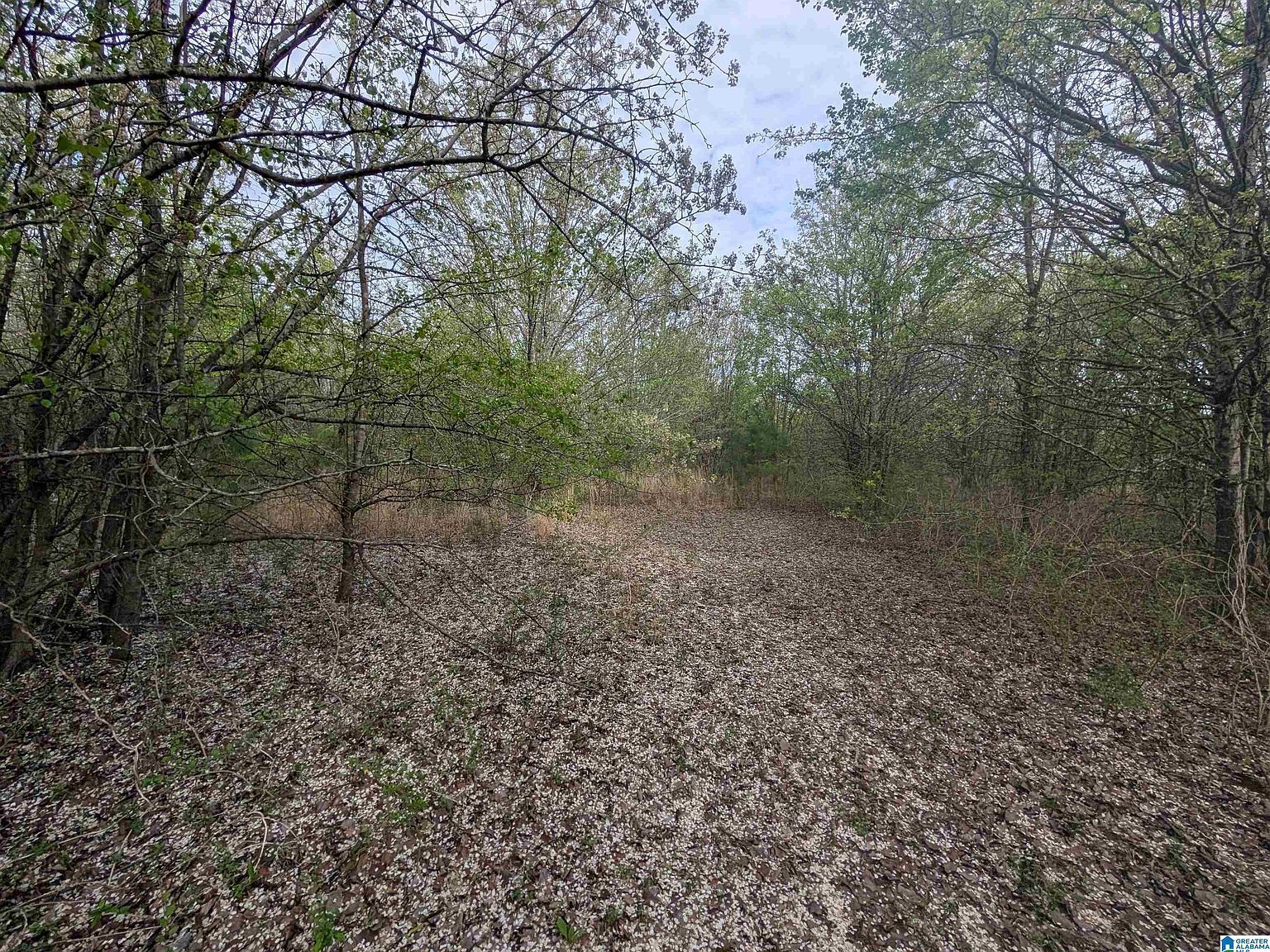 0 Highway Dr Unit 0 Oxford, AL 36203  | Land/Lot