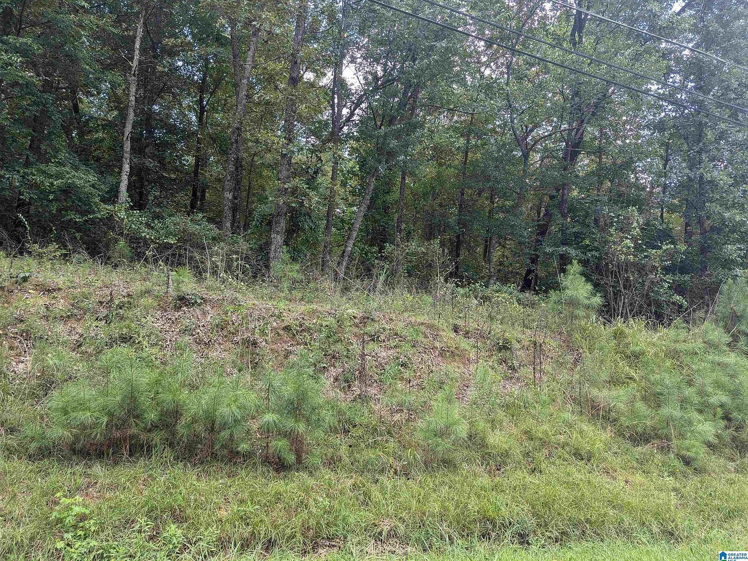 0 Jones Rd Lot 1 Anniston, AL 36207 | Land/Lot
