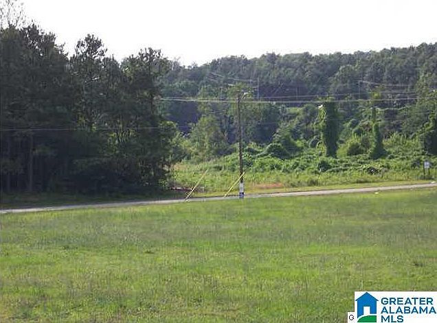 0 Hillyer Robinson Industrial Pkwy Anniston, AL 36207  | Land/Lot