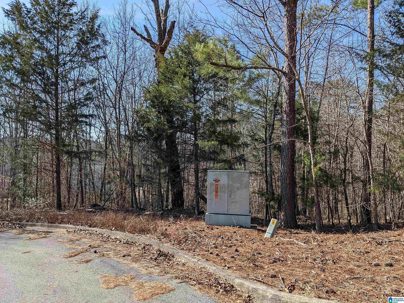 0 Winfrey Ln Lot 246 Anniston, AL 36206  | Land/Lot