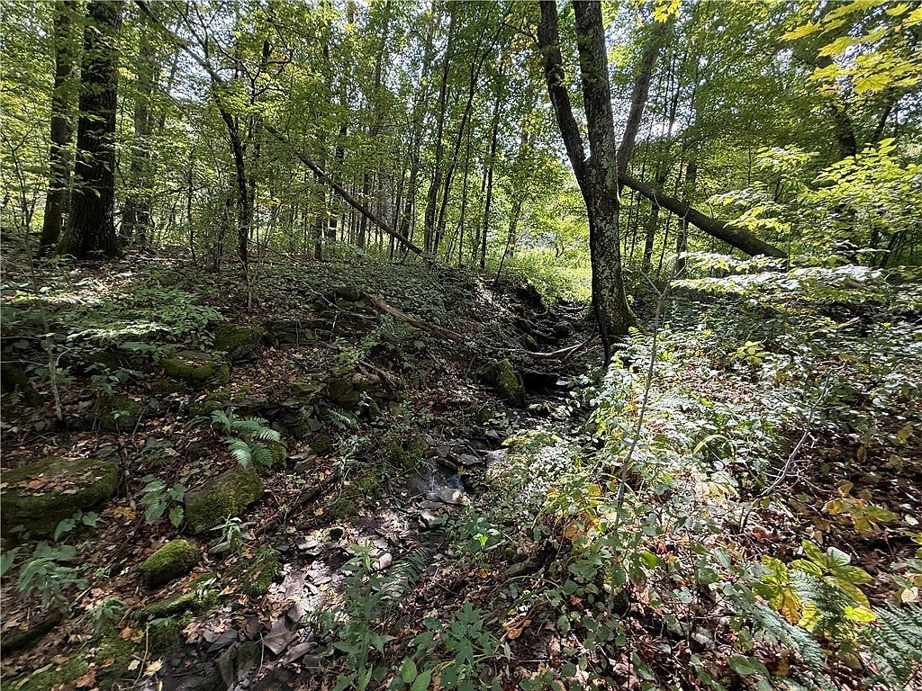 815 State Highway 165 Cherry Valley, NY 13320 | Single Family