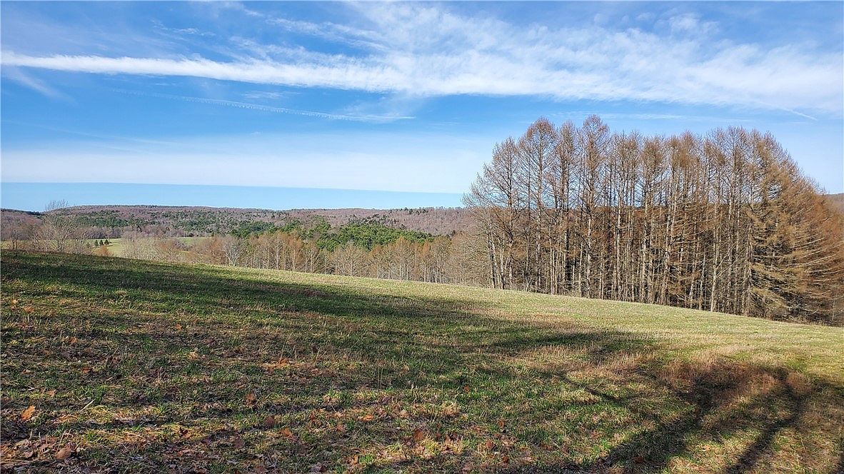 4 & LOT 5 Mount Vision, NY 13810 | Land/Lot