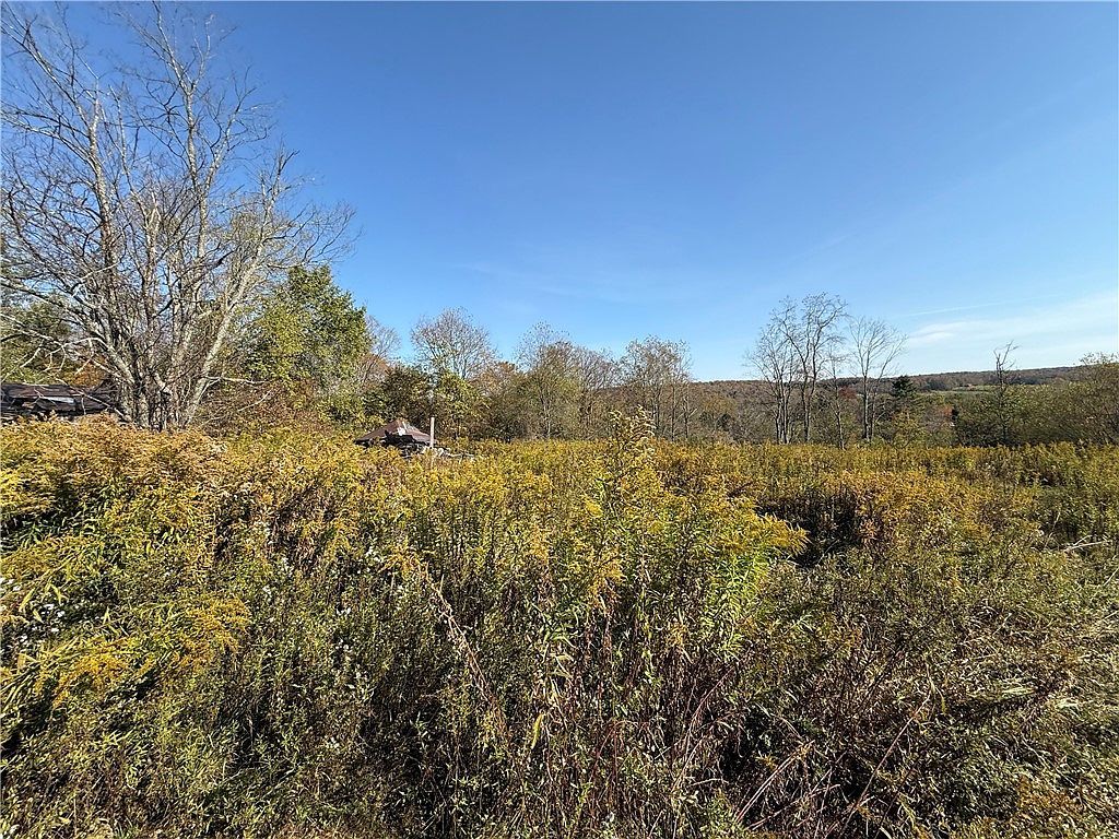 878 County Road 10 #11 Mc Donough, NY 13801  | Land/Lot