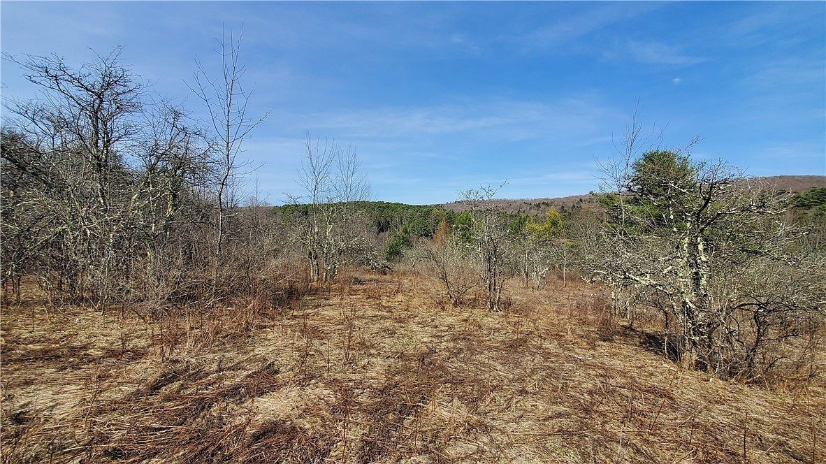 LOT 10 Goddards Rd LOT 10 Mount Vision, NY 13810 | Land/Lot