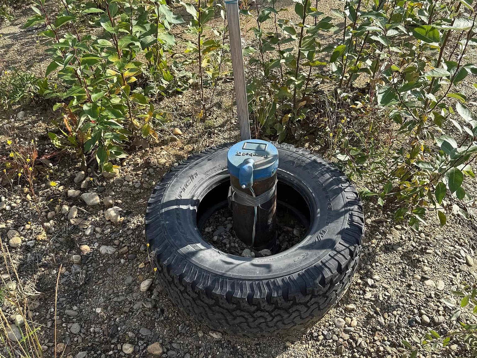 565 Chase Rd Delta Junction, AK 99737 | Single Family