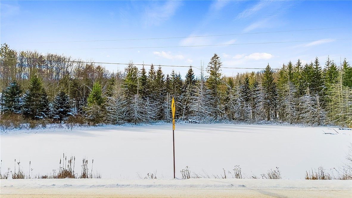 L1 County Road 16 Norwich, NY 13815  | Land/Lot