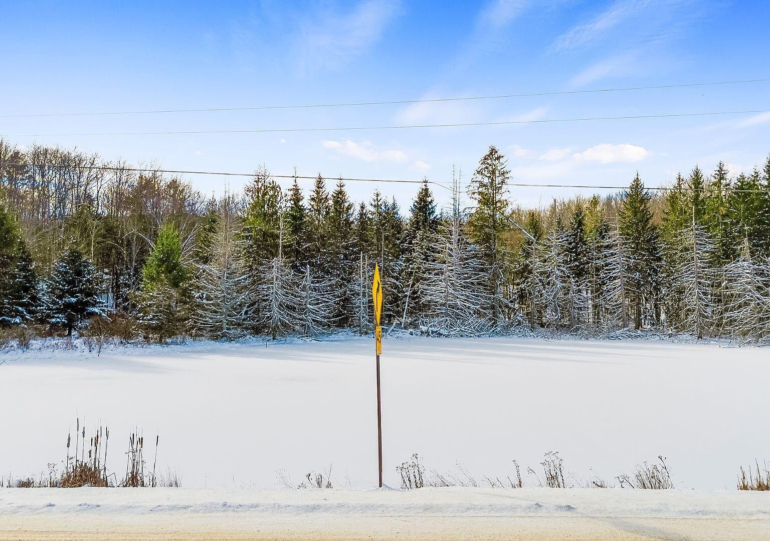 L1 County Road 16 South Otselic, NY 13155  | Land/Lot