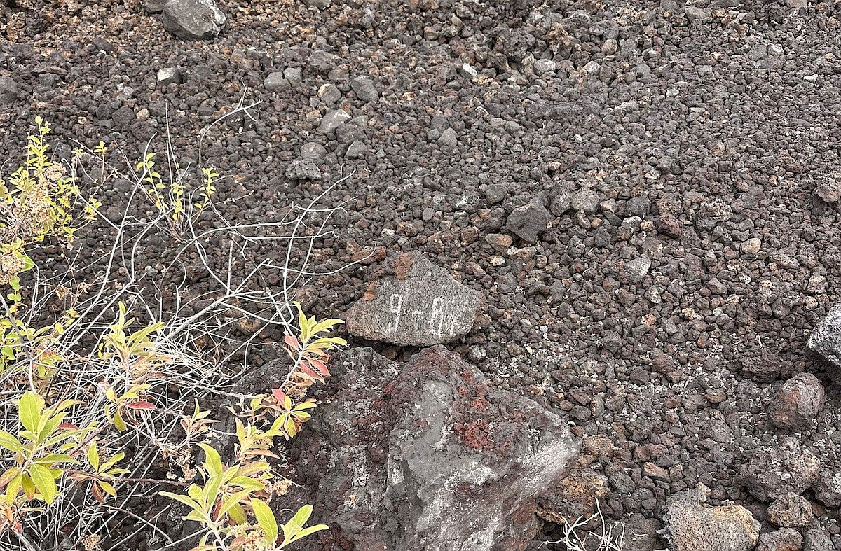 Akahi Ave Captain Cook, HI 96704  | Land/Lot