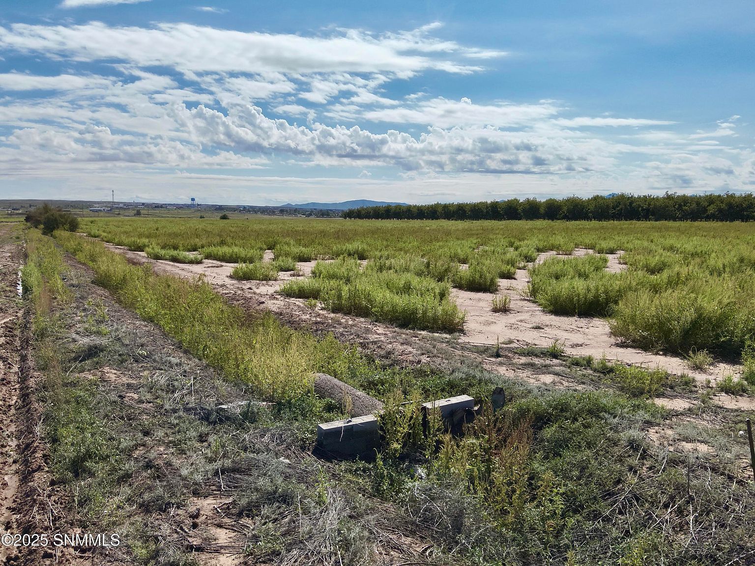 213 Sunshine Ln Mesquite, NM 88048  | Land/Lot