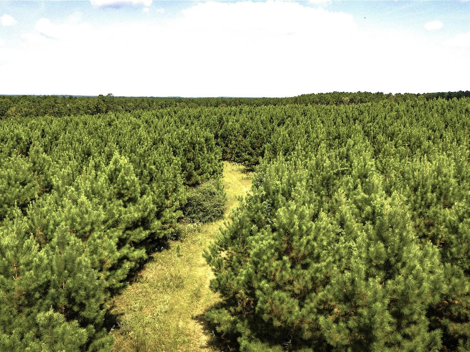 Stutts Livingston, TX 77351 | Land/Lot