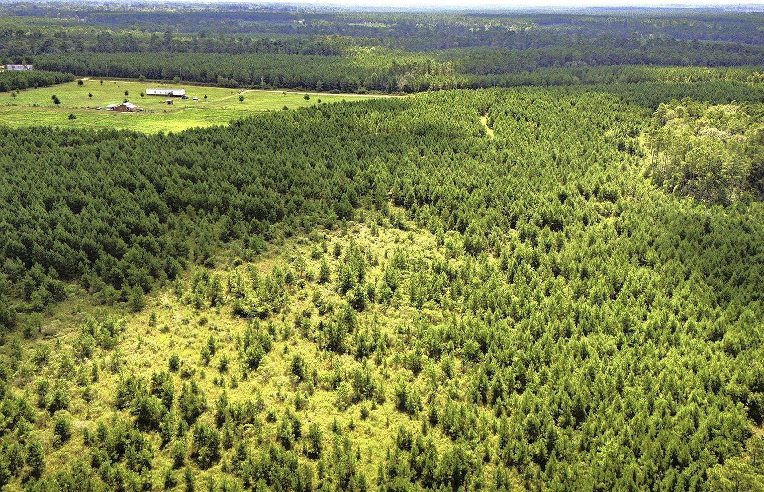 Stutts Hill Rd LOT 1 Livingston, TX 77351  | Land/Lot