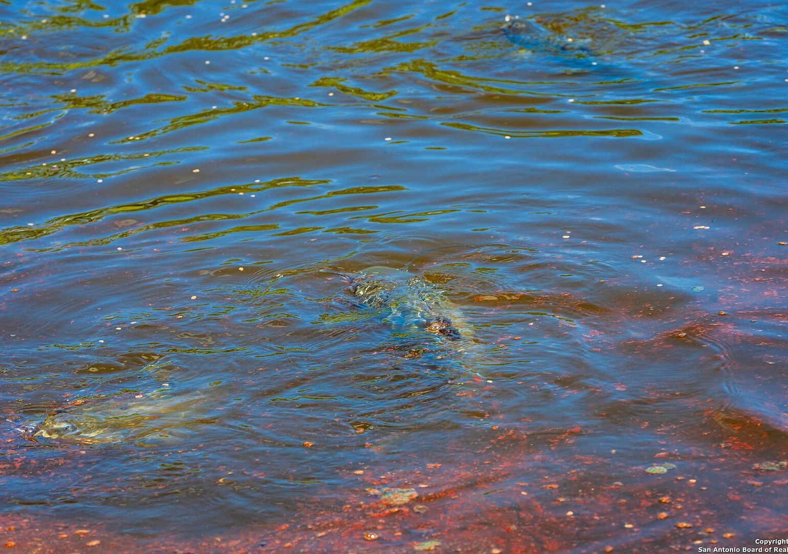 306 Enlightening Rd Mountain Home, TX 78058  | Single Family