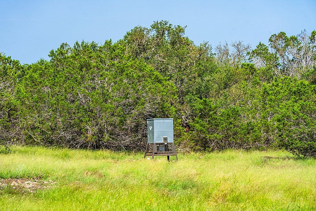 229 Lost Man Rd Mountain Home, TX 78058  | Single Family