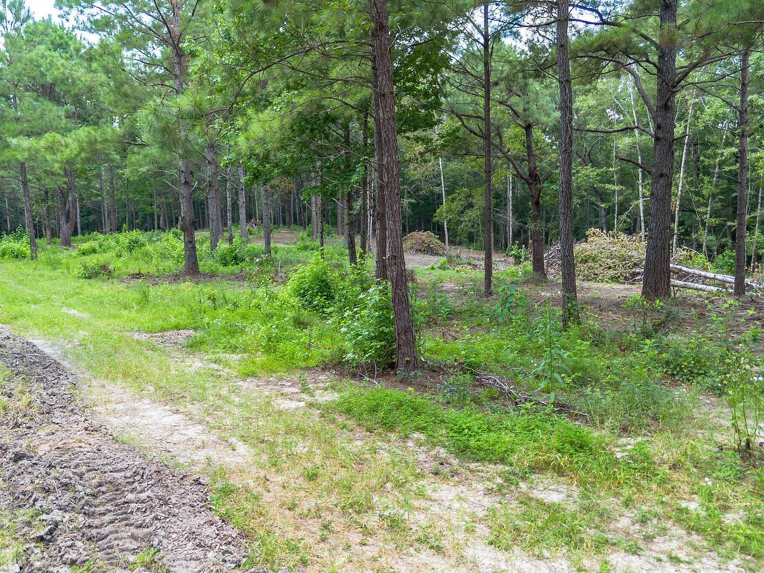 W McHenry Rd Mc Henry, MS 39561  | Land/Lot