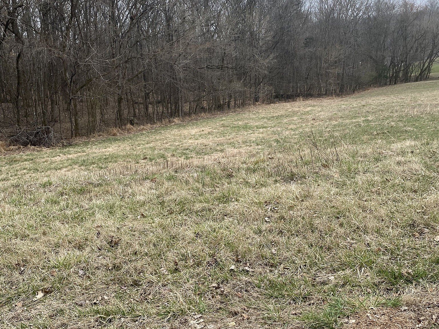 883 Scenic Dr Pulaski, TN 38478  | Land/Lot