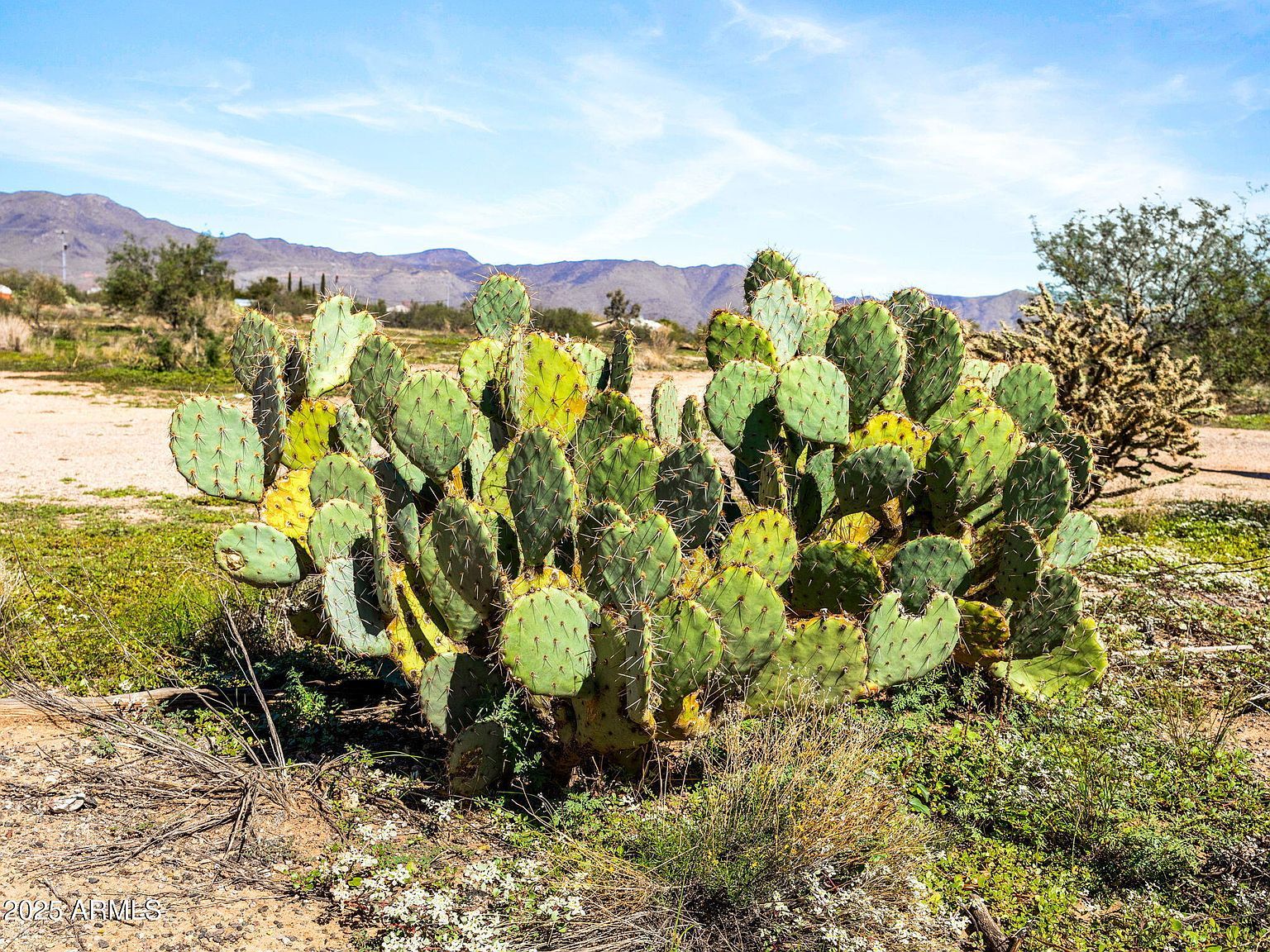 22055 W Sunrise Rd Congress, AZ 85332  | Land/Lot