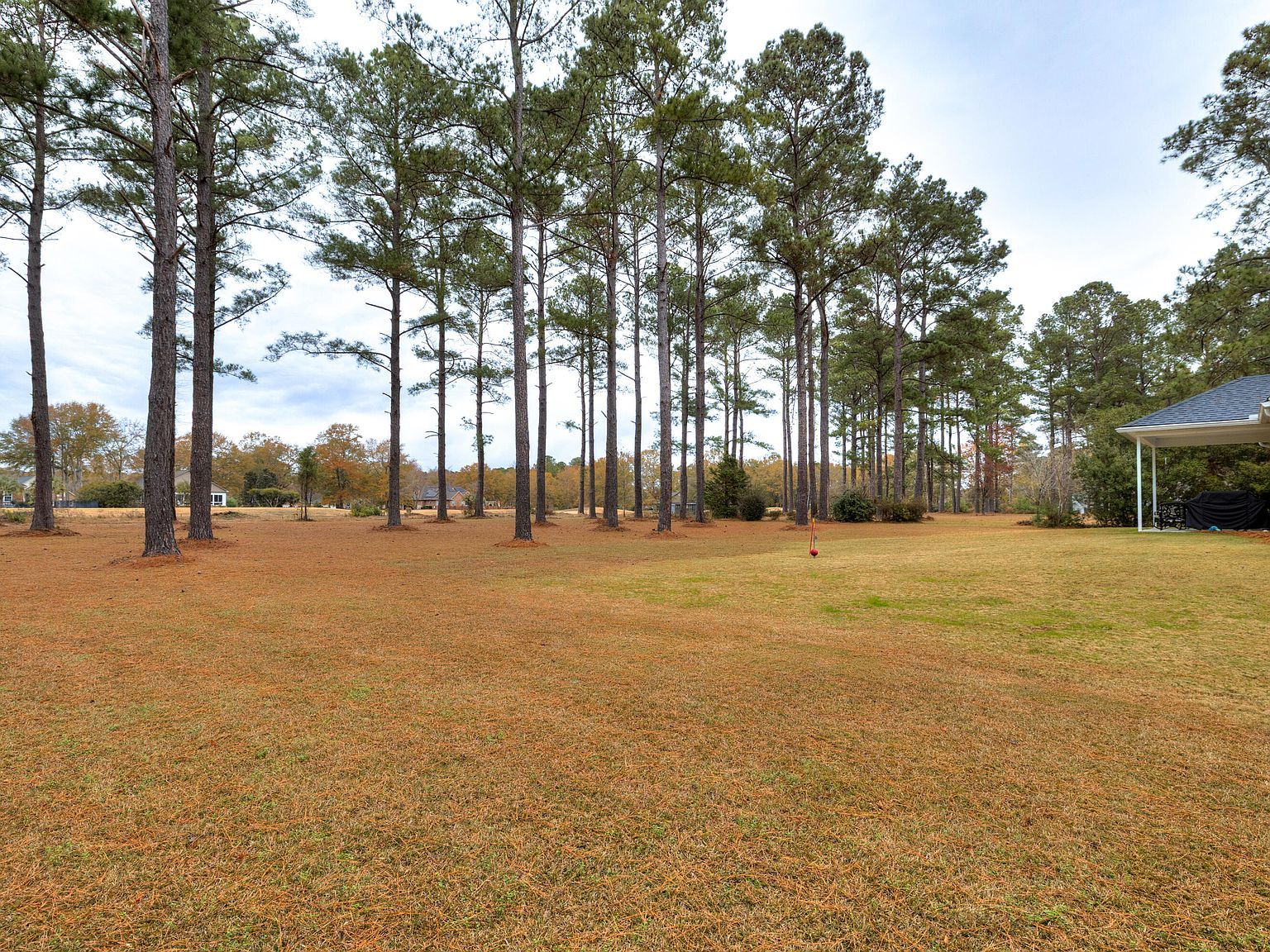 409 Pine Lake Ct Manning, SC 29102 | Single Family