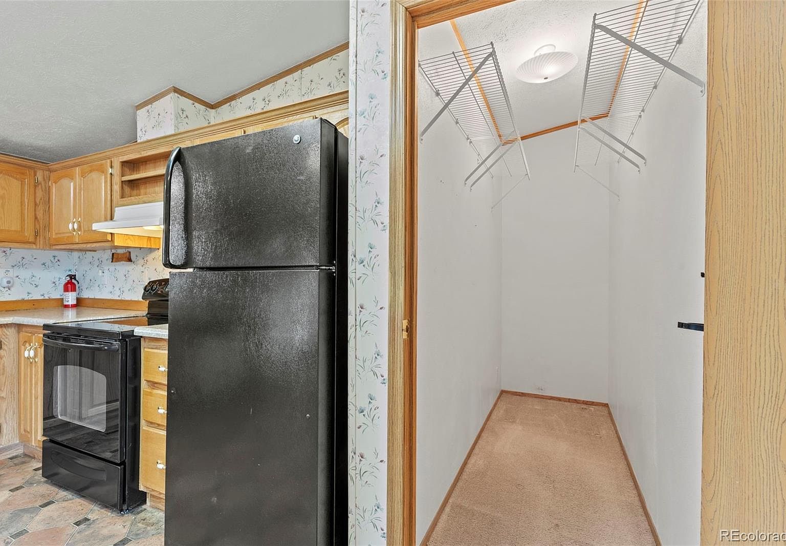 763 15th Trl Cotopaxi, CO 81223  | New build