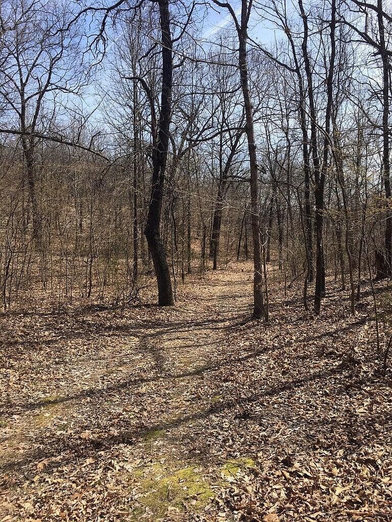 875 Windmill Rd Hollister, MO 65672 | Land/Lot