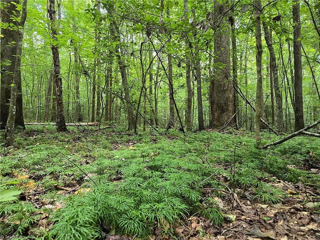 0 Boone Farm Rd Asheboro, NC 27205 | Land/Lot