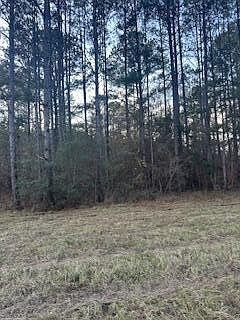 0 Highway 512 Quitman, MS 39355  | Land/Lot