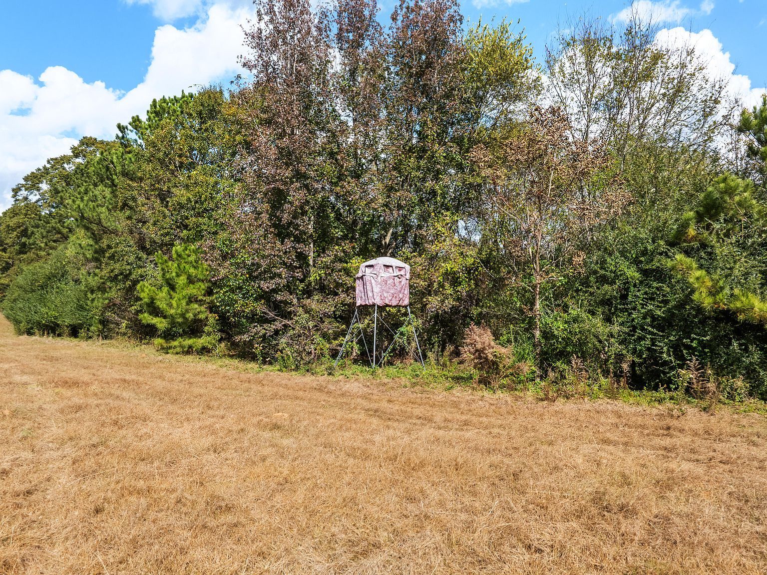 1565 Shubuta Eucutta Rd Shubuta, MS 39360  | Land/Lot