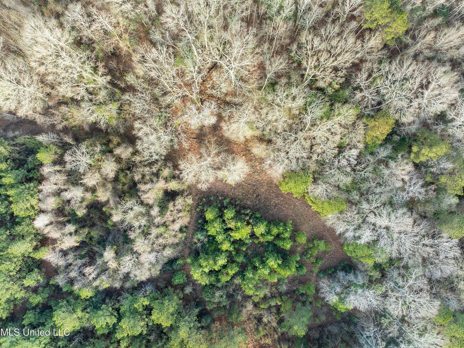 14.75 Acres Hwy #11 Ellisville, MS 39437 | Land/Lot