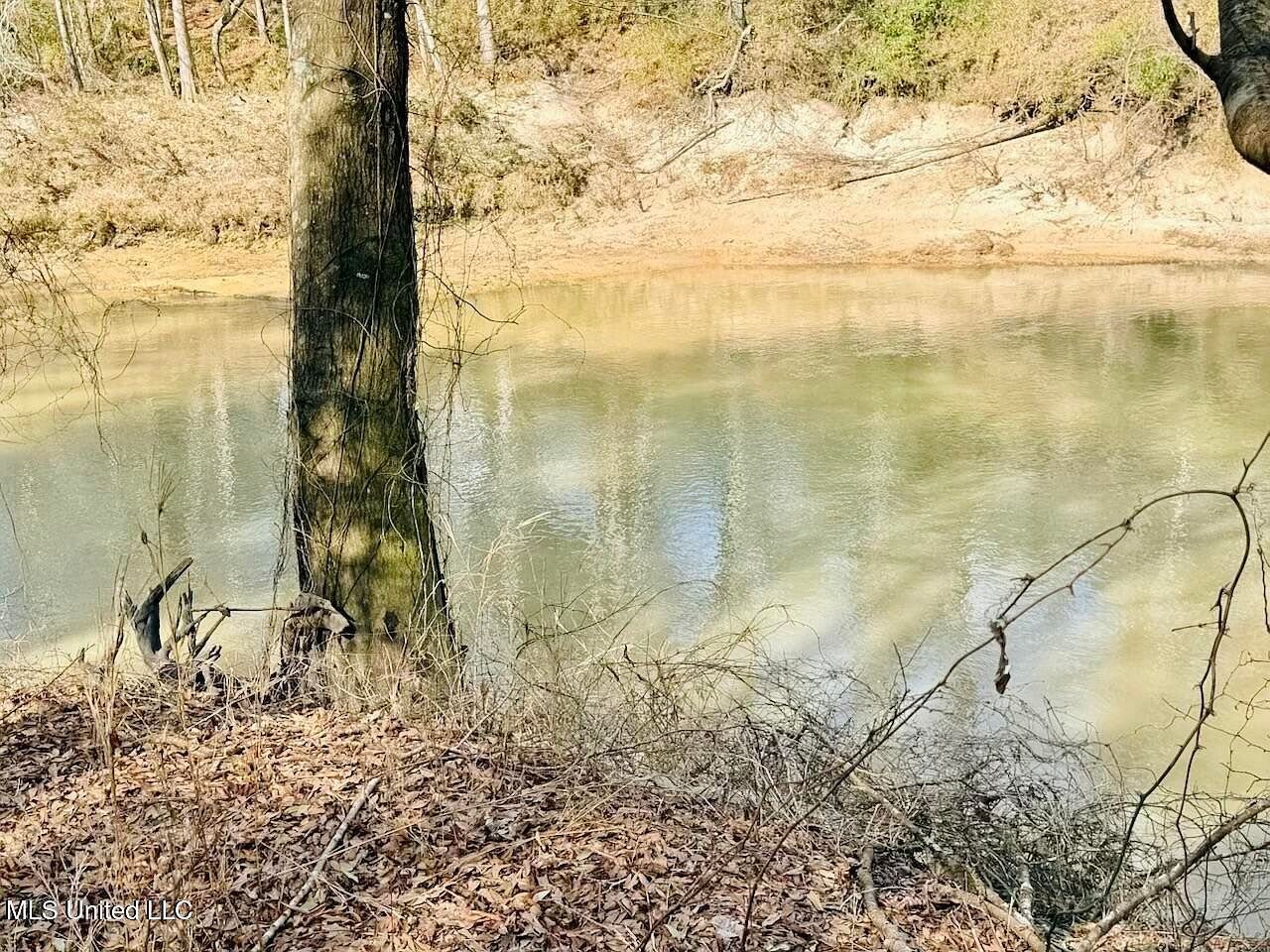 87 Russell Rd Moselle, MS 39459  | Single Family