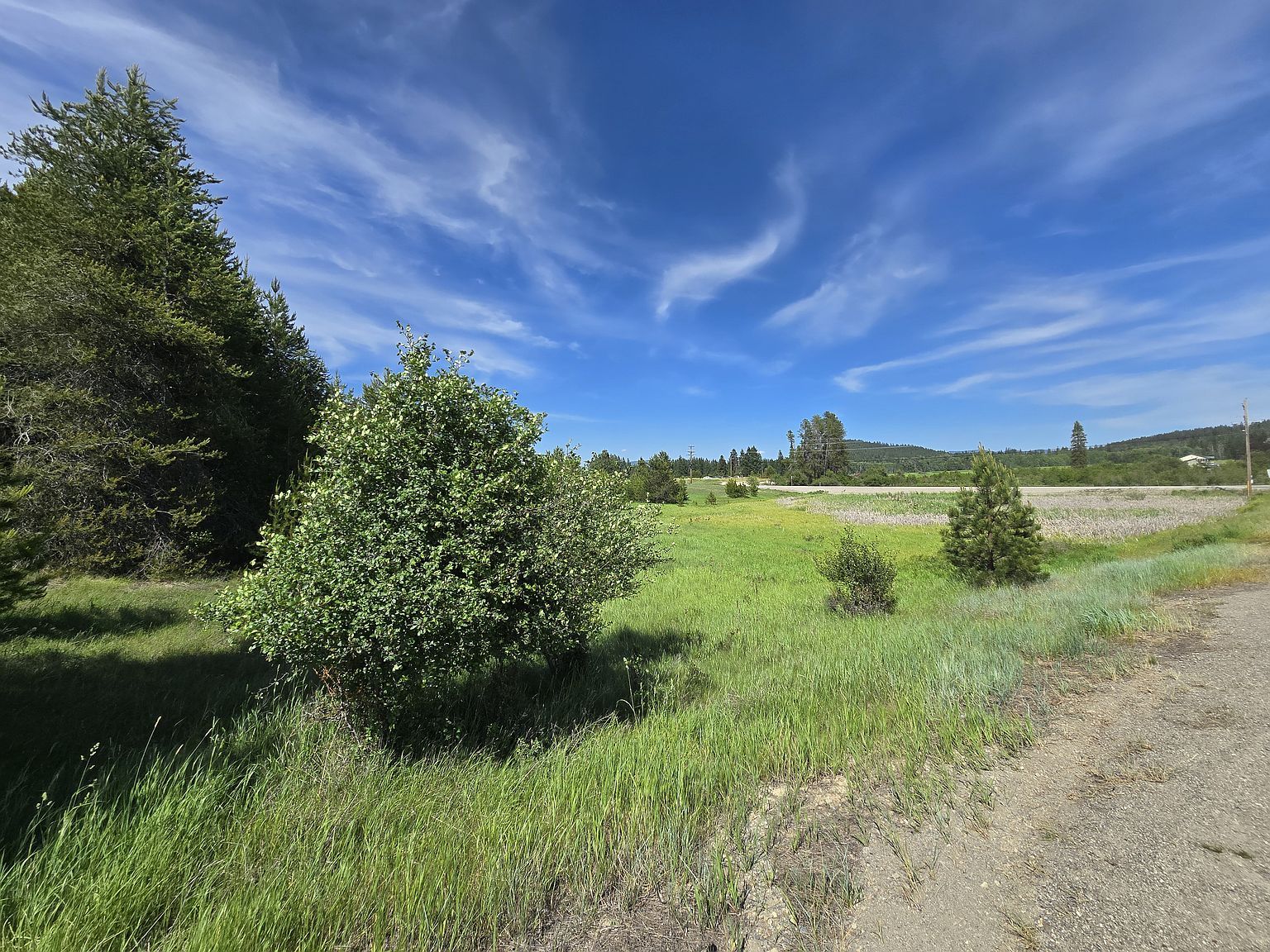 2020 Westside Calispell Rd Usk, WA 99180  | Land/Lot