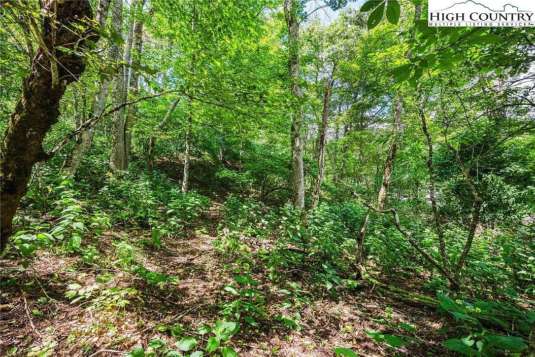 LOT 15 Boone Ridge Ln Boone, NC 28607  | Land/Lot