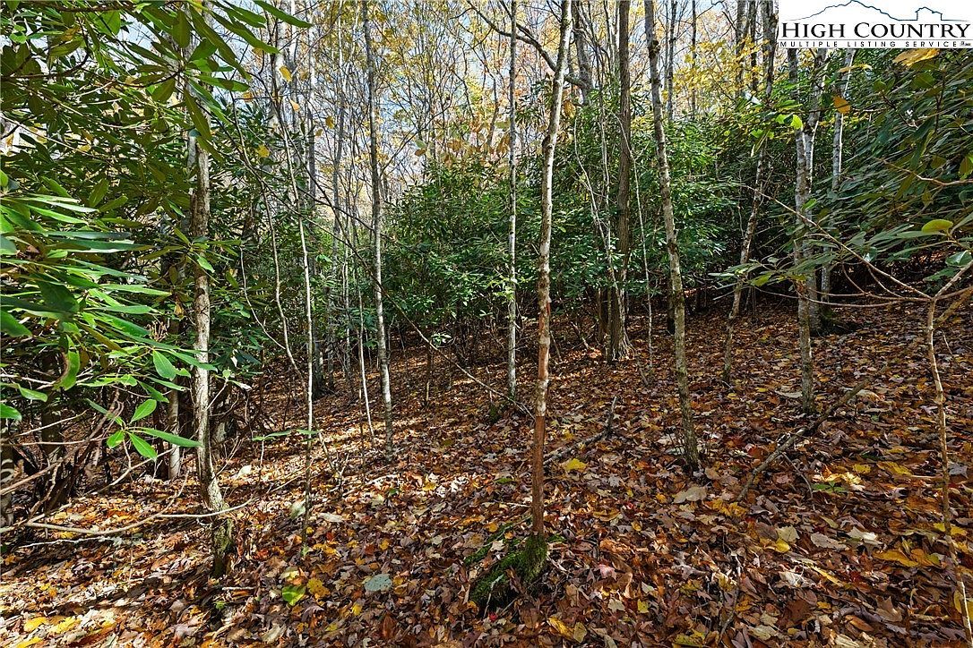 0 Pigeon Roost Rd Banner Elk, NC 28604  | Land/Lot